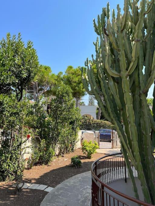 Villa Marika Fontane Bianche Exteriör bild